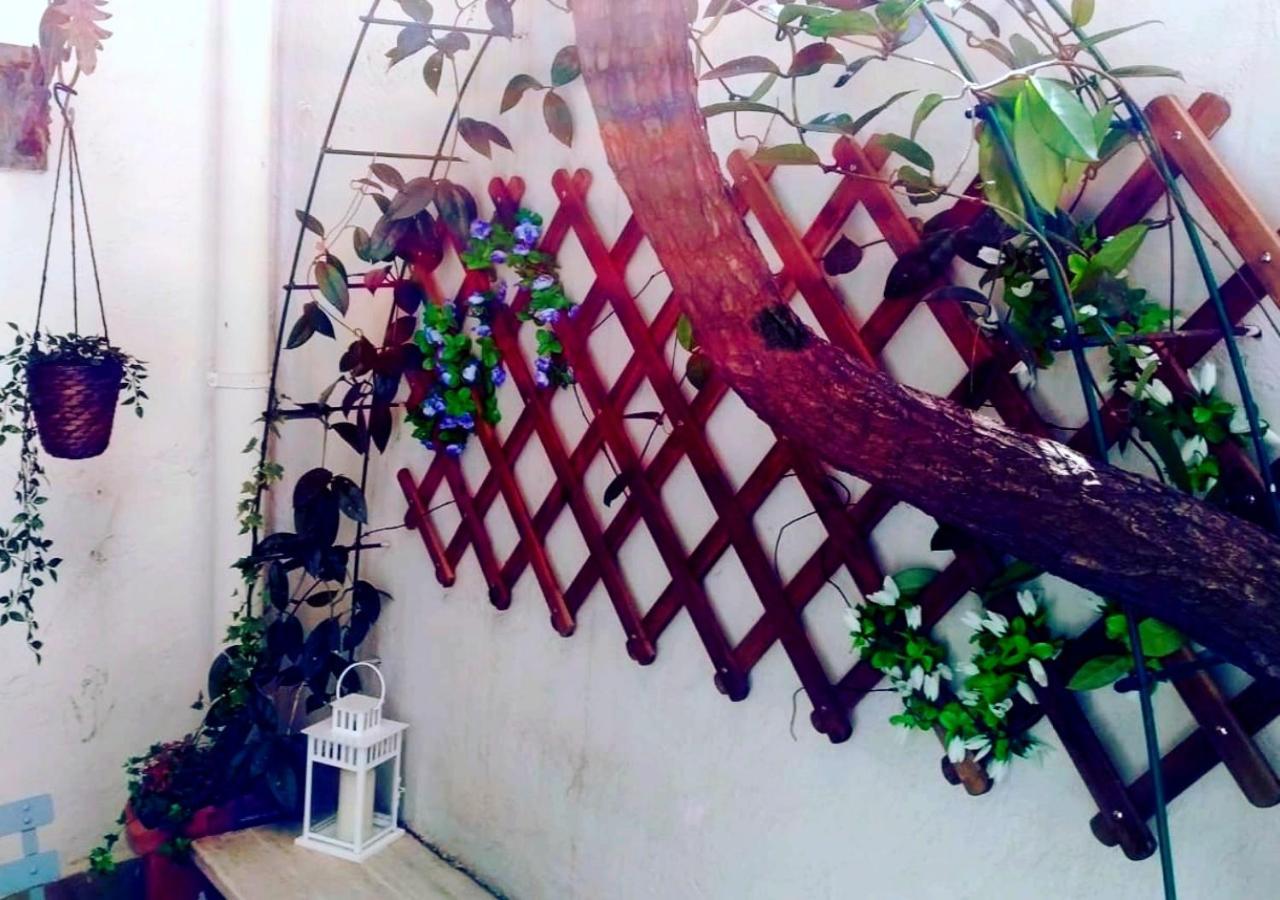 Pied-A-Terre Domusuite Rhome Colosseo Rome Luaran gambar